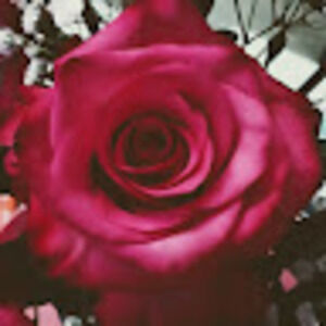 Meet your Posher, Cherie